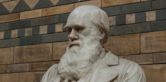 Cei mai faimoşi oameni de ştiinţă îl evaluează pe Dumnezeu Cei mai faimoşi oameni de ştiinţă