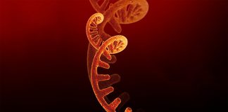 Vaccinurile ARNm împotriva COVID-19 Vaccinurile ARNm împotriva COVID-19