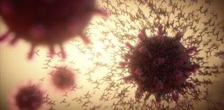 Ce conţin vaccinurile anti-COVID și ce rămâne în organism din fiecare ce conțin vaccinurile anti-covid organism