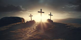 Cu spatele la Infinit